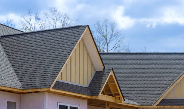 Best Roof Moss and Algae Removal  in East Quogue, NY